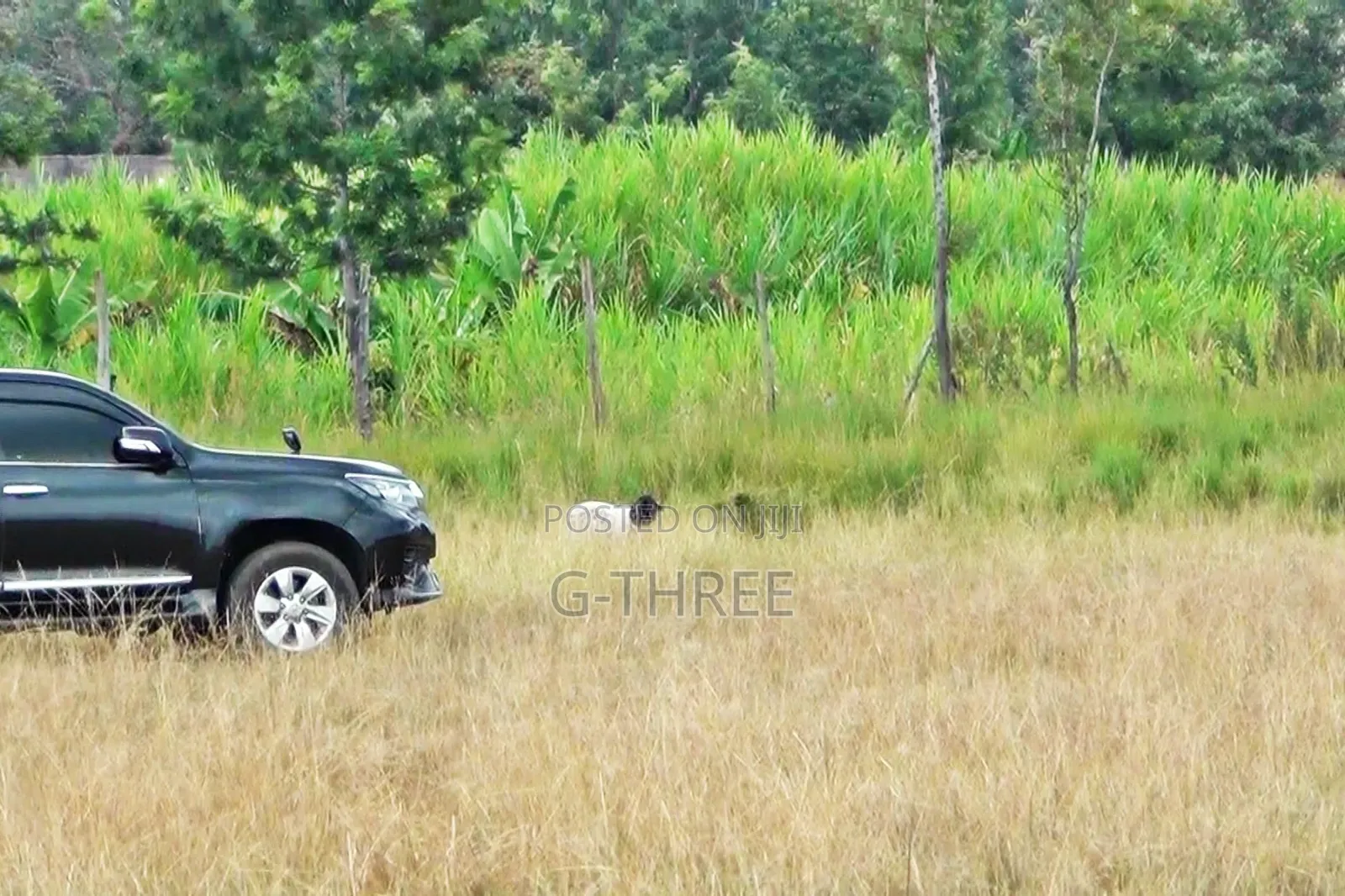 Prime Plots on Kenol Sagana Highway