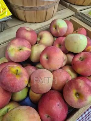 Delicious and Healthy Apples