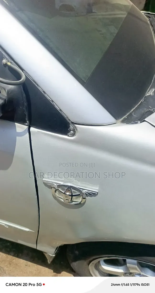Silver Chrome Winged Decorative Side Indicator Hood Cover