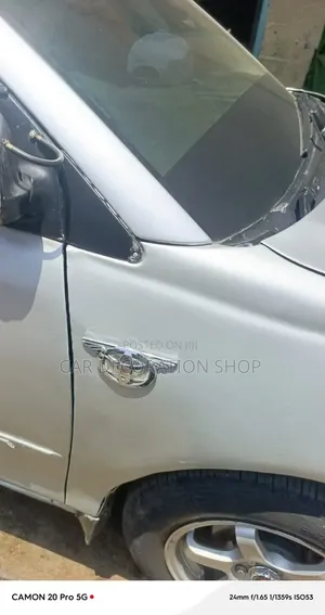 Silver Chrome Winged Decorative Side Indicator Hood Cover