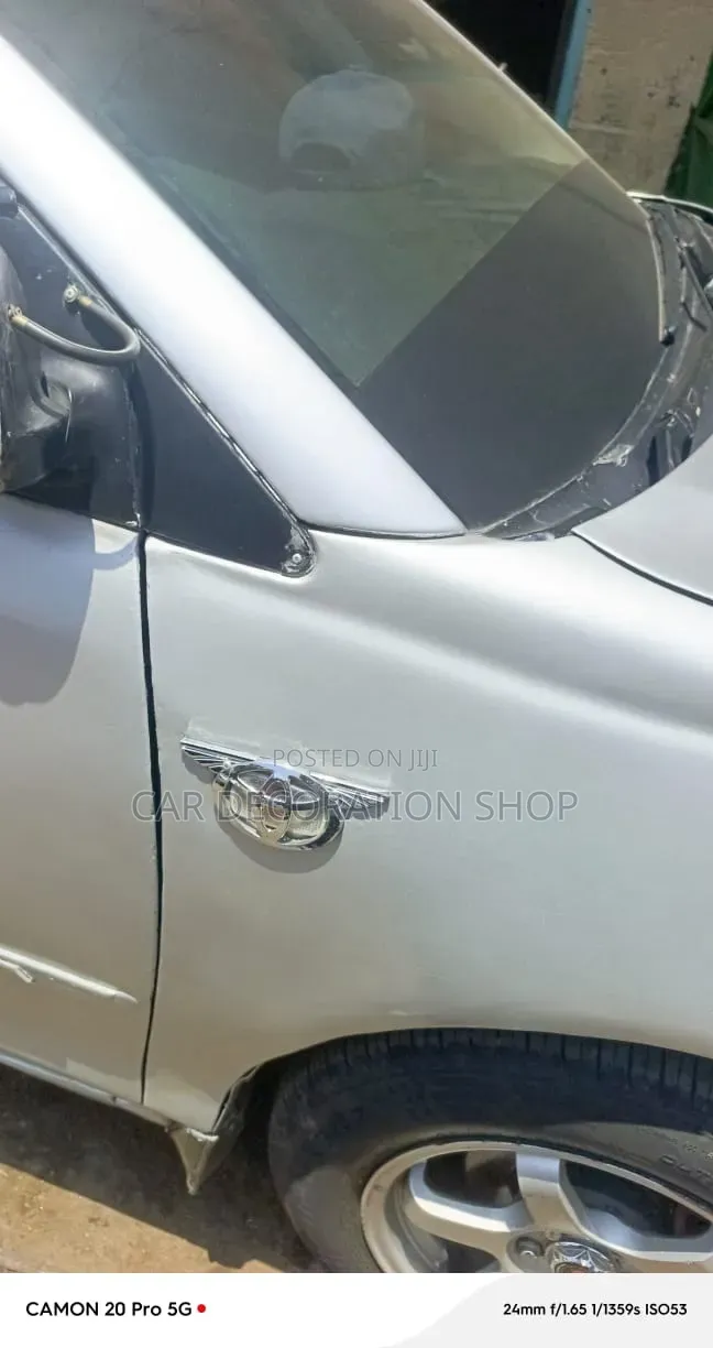 Silver Chrome Winged Decorative Side Indicator Hood Cover