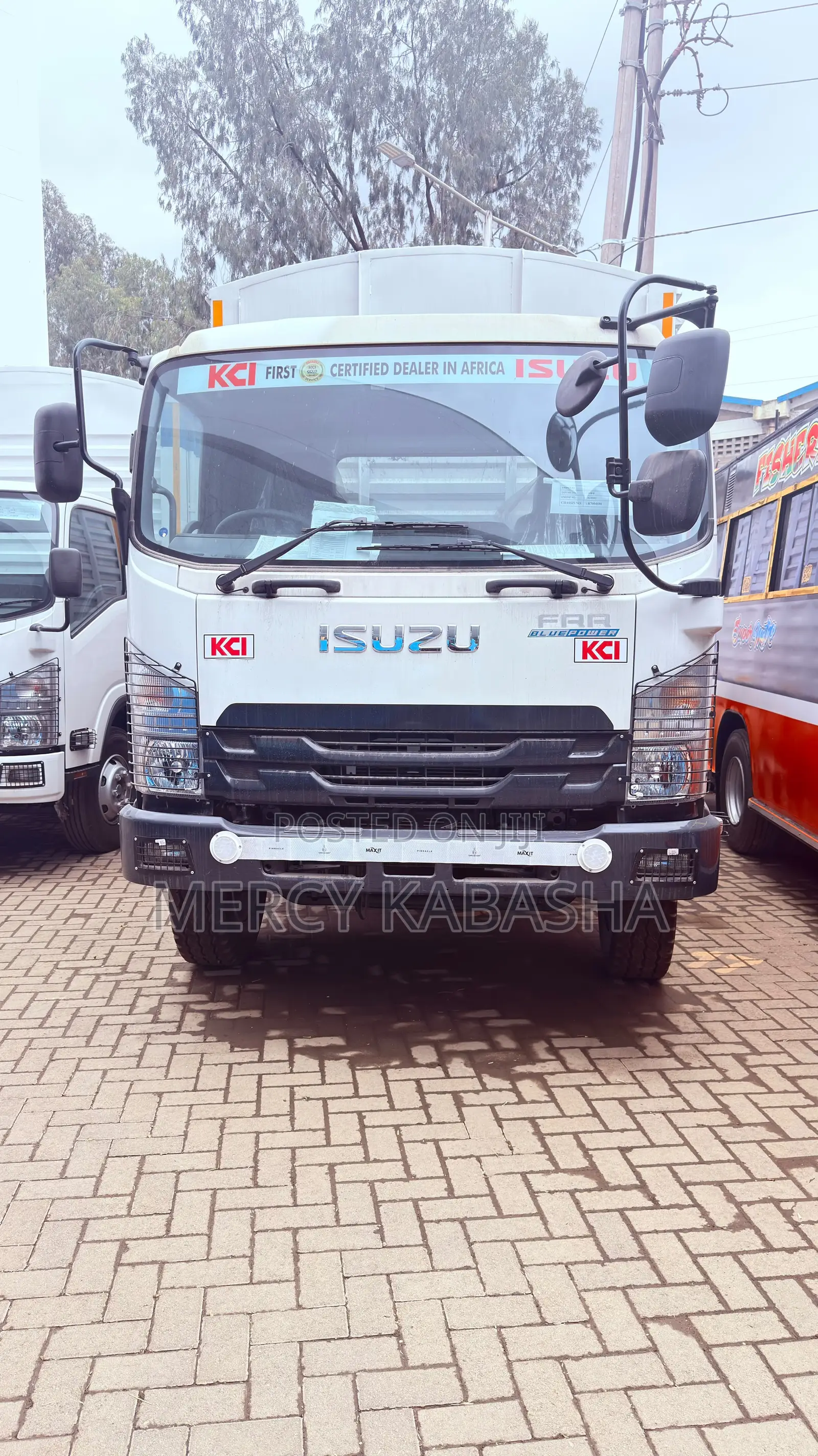 Isuzu FRR 2026 White