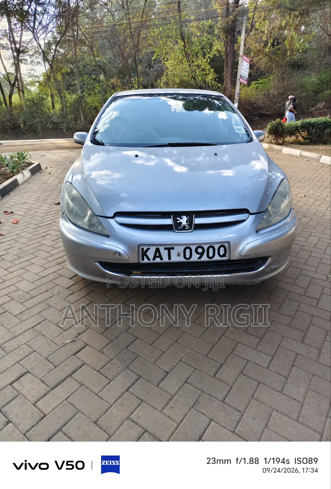 Peugeot 307 1.6 Premium 2005 Gray