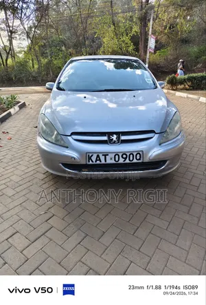Peugeot 307 1.6 Premium 2005 Gray