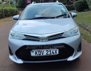 Toyota Corolla Fielder 2018 Silver