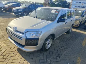 Toyota Probox 1.3 DX 2WD 2020 Silver