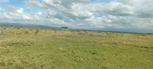 Nanyuki Akiba Gardens
