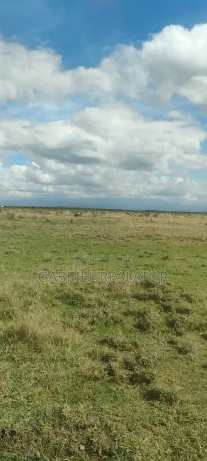 Nanyuki Akiba Gardens