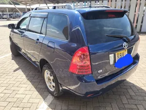 Toyota Corolla Fielder 2006 Blue