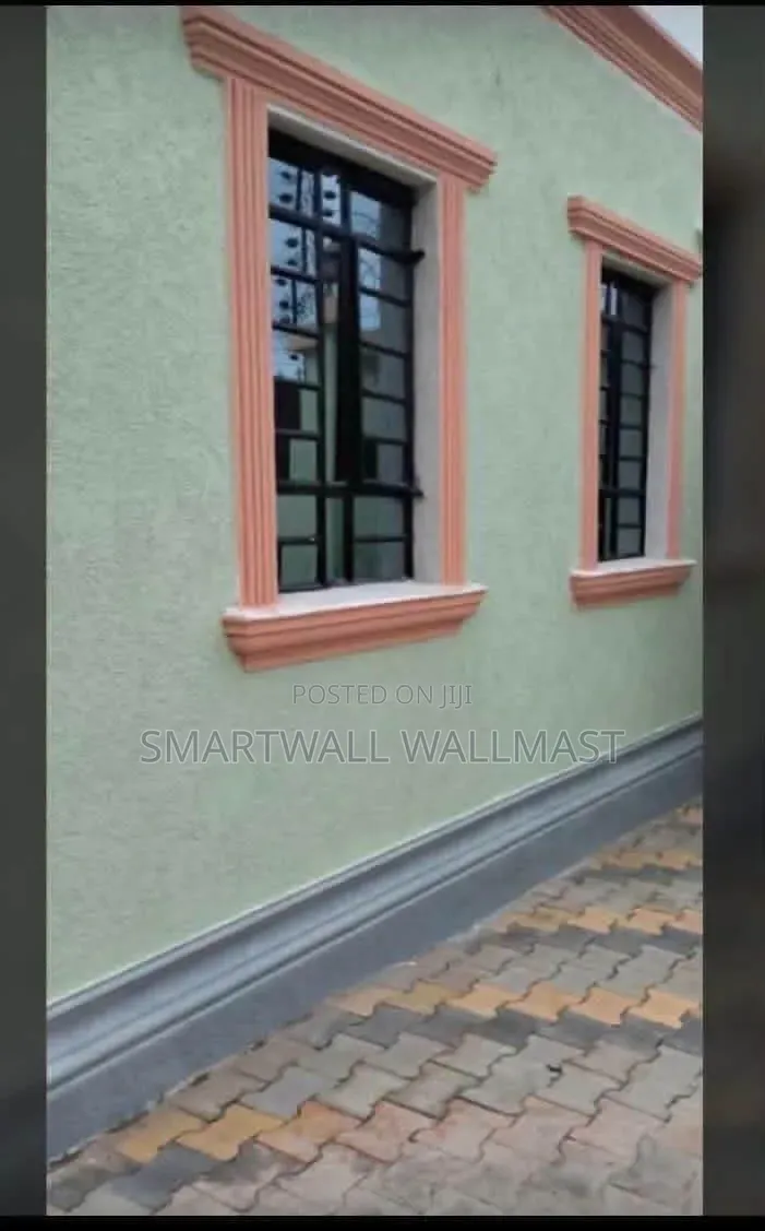 Texture Paint ( Smartwall Wallmast)