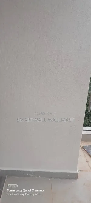 Texture Paint ( Smartwall Wallmast)