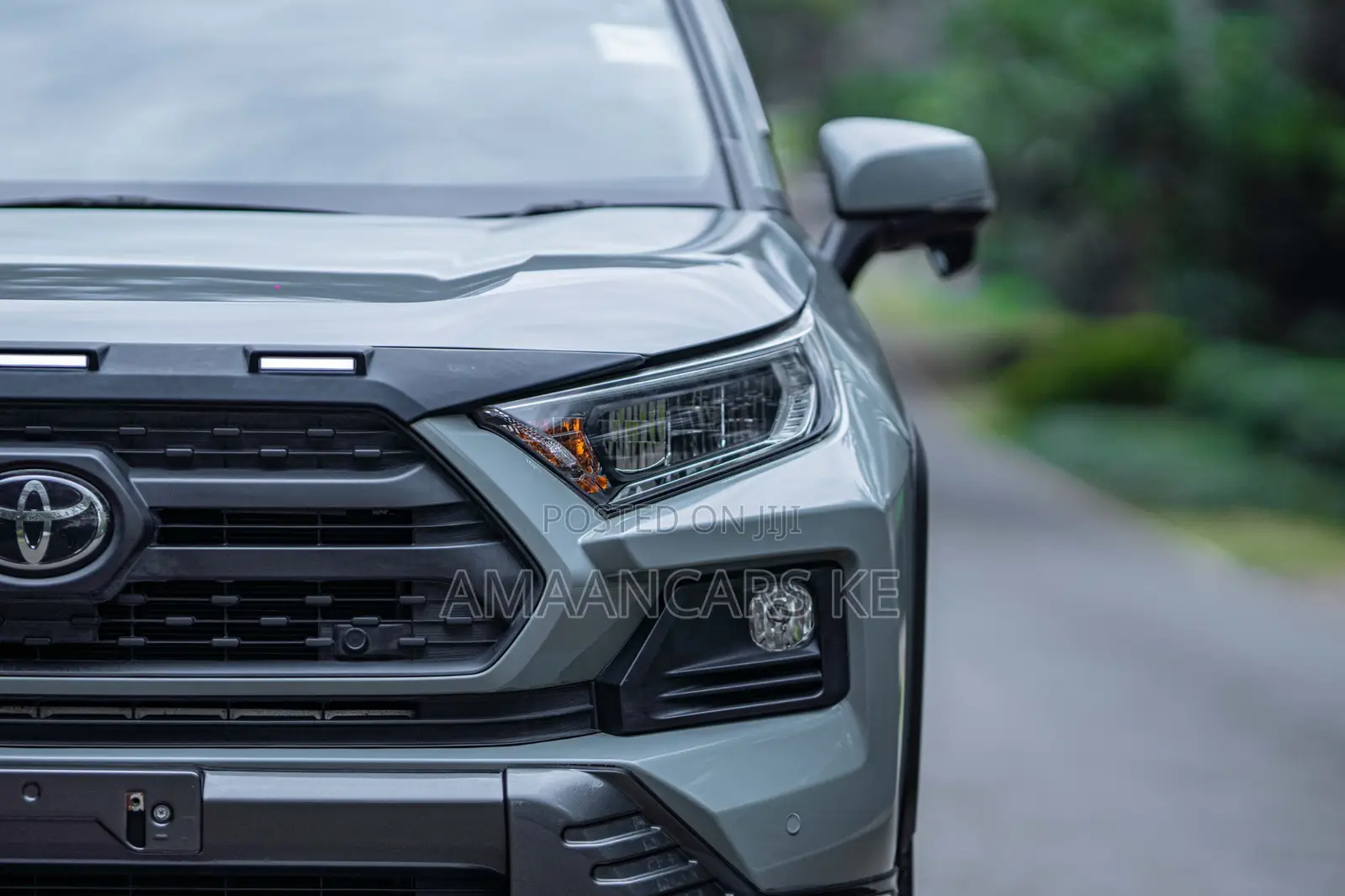 Toyota RAV4 Adventure 2019 Green