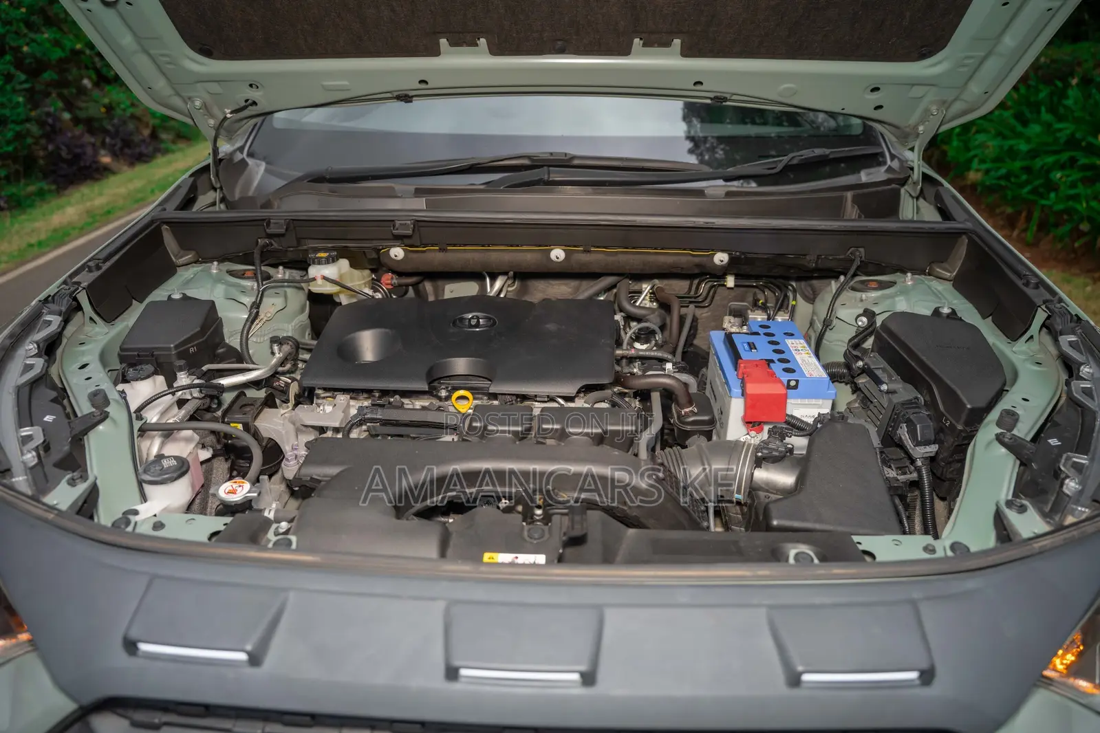 Toyota RAV4 Adventure 2019 Green