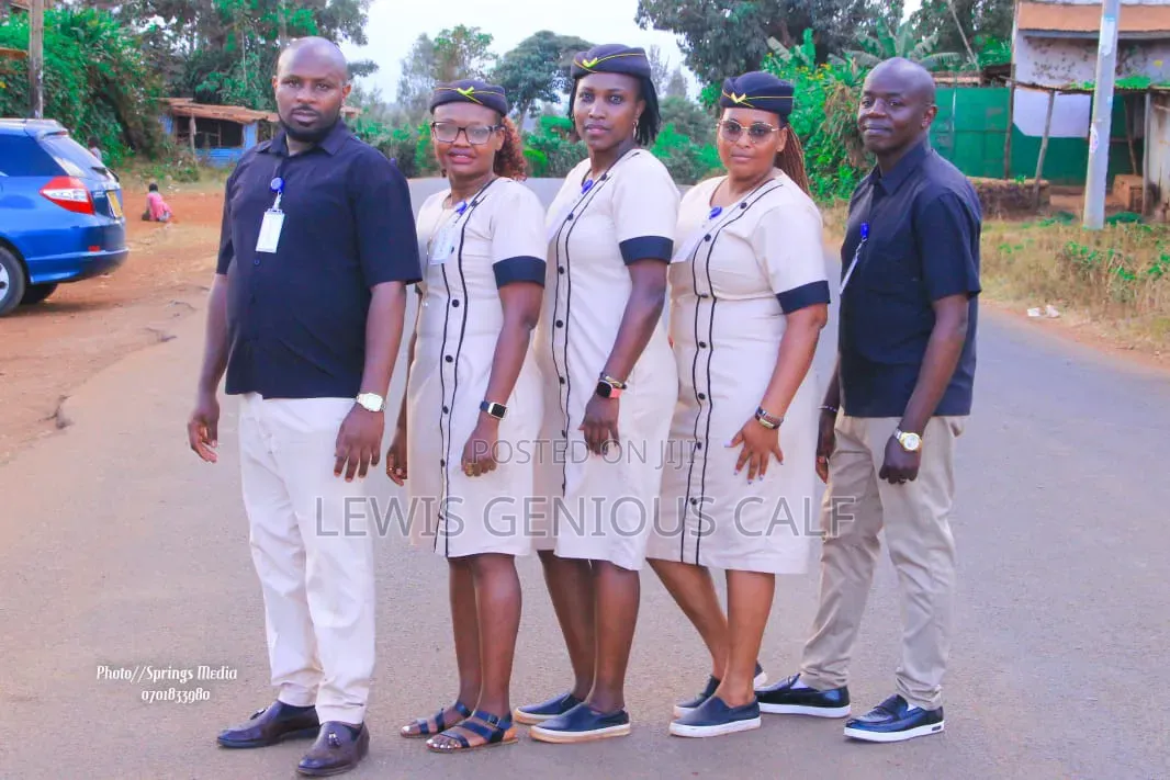 Hearse, Coffin and Ushering Services