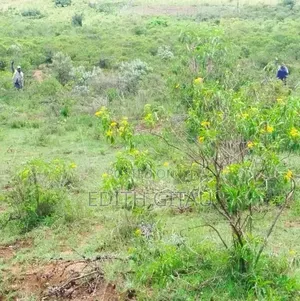 Prime Plot for Sale – Kekopey , 7km From the Highway,50×100 (1/8 Acre)