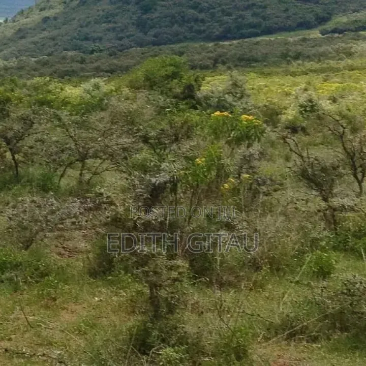 Prime Plot for Sale – Kekopey , 7km From the Highway,50×100 (1/8 Acre)
