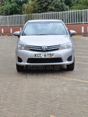 Toyota Axio 2010 Silver