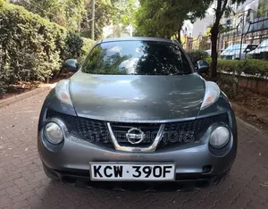 Nissan Juke 2012 Gray