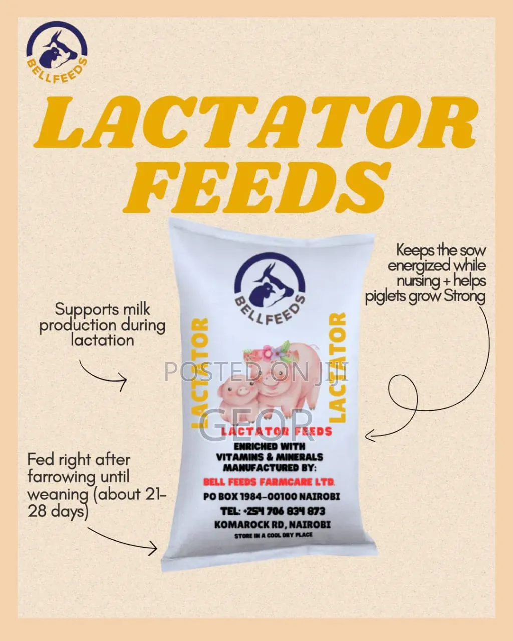 Pig Lactactor