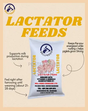 Pig Lactactor