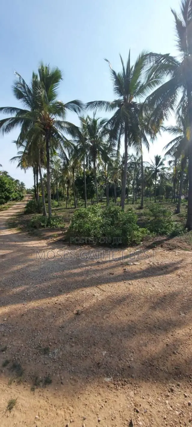 Malindi Ngomeni Coco Beach 1acre