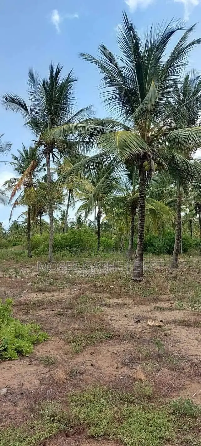 Malindi Ngomeni Coco Beach 1acre