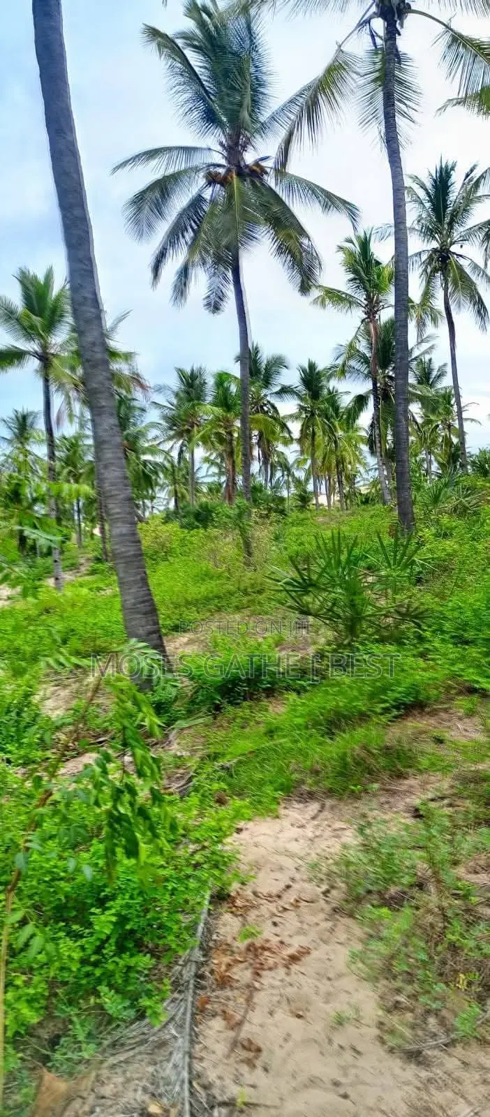 Malindi Ngomeni Coco Beach 1acre