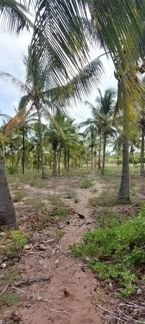 Malindi Ngomeni Coco Beach 1acre