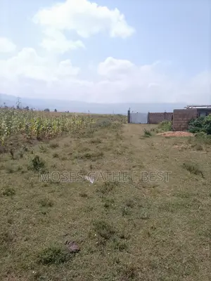 Maai Mahiu 1/8 Acre