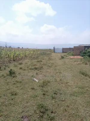 Maai Mahiu 1/8 Acre