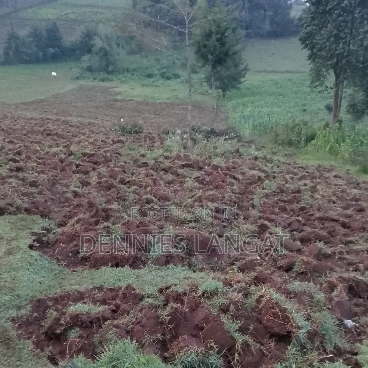 Land for Sale