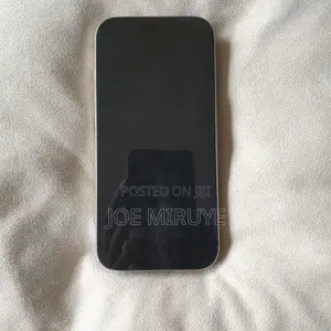Apple iPhone 16 Pro 256 GB Silver