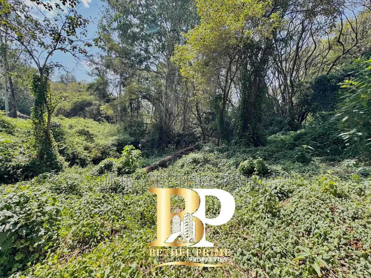 Prime Commercial Land for Lease | Off Lower Kabete Road