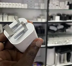 Apple iPhone Charger