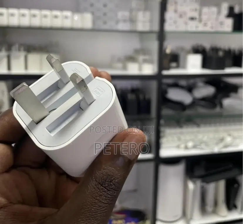 Apple iPhone Charger