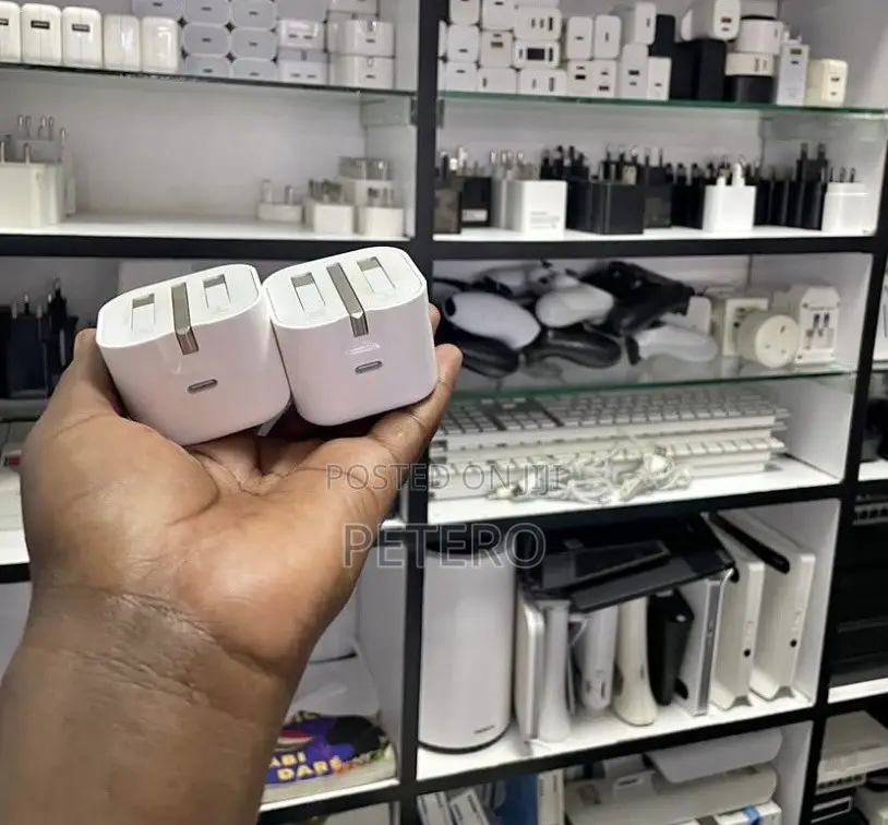 Apple iPhone Charger