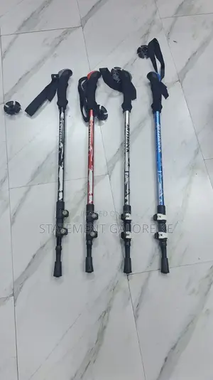 Hiking Sticks