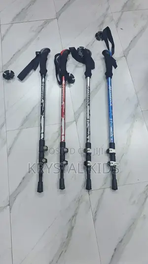 Hiking Sticks
