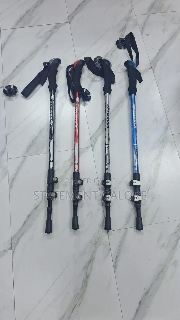 Hiking Sticks - main view