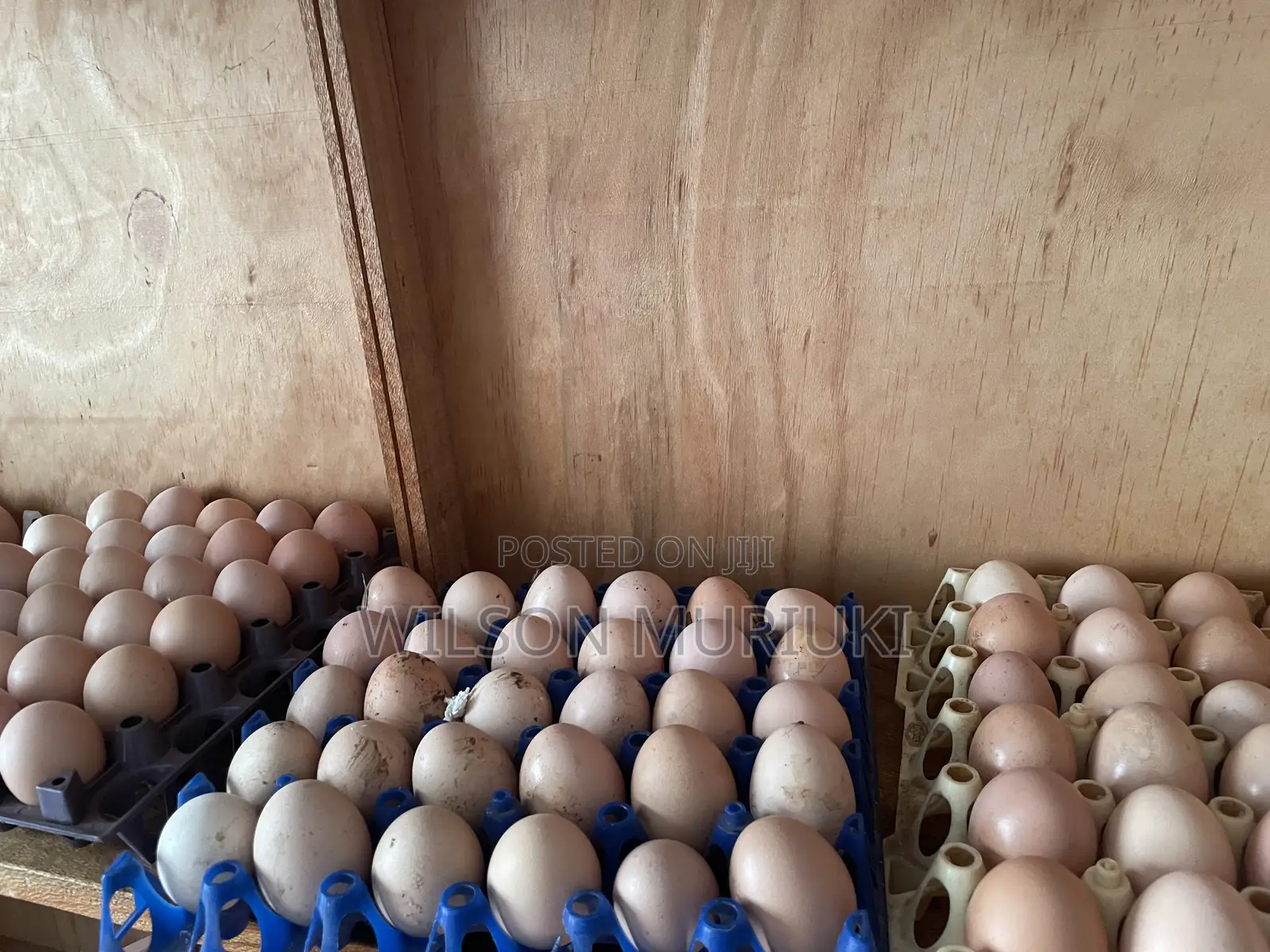 Improved Kienyeji Eggs for Sale