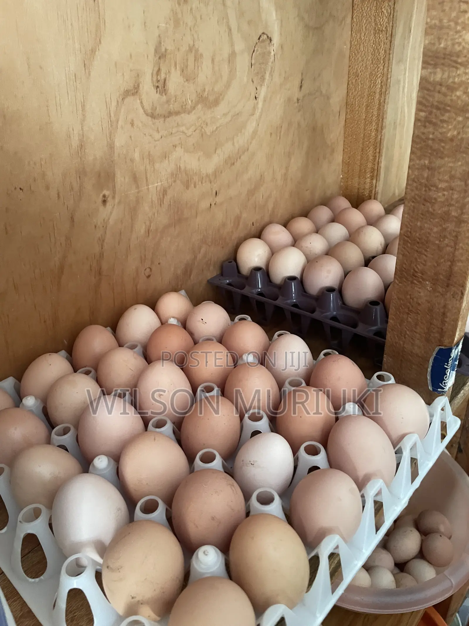 Improved Kienyeji Eggs for Sale