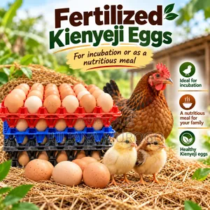 Fertilized Kienyeji Eggs