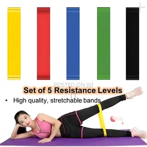 5in1 Exercise Premium Resistance Bands