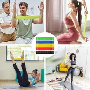 5in1 Exercise Premium Resistance Bands