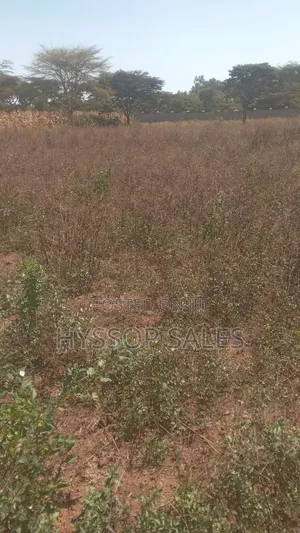 Prime Plots in Nakuru