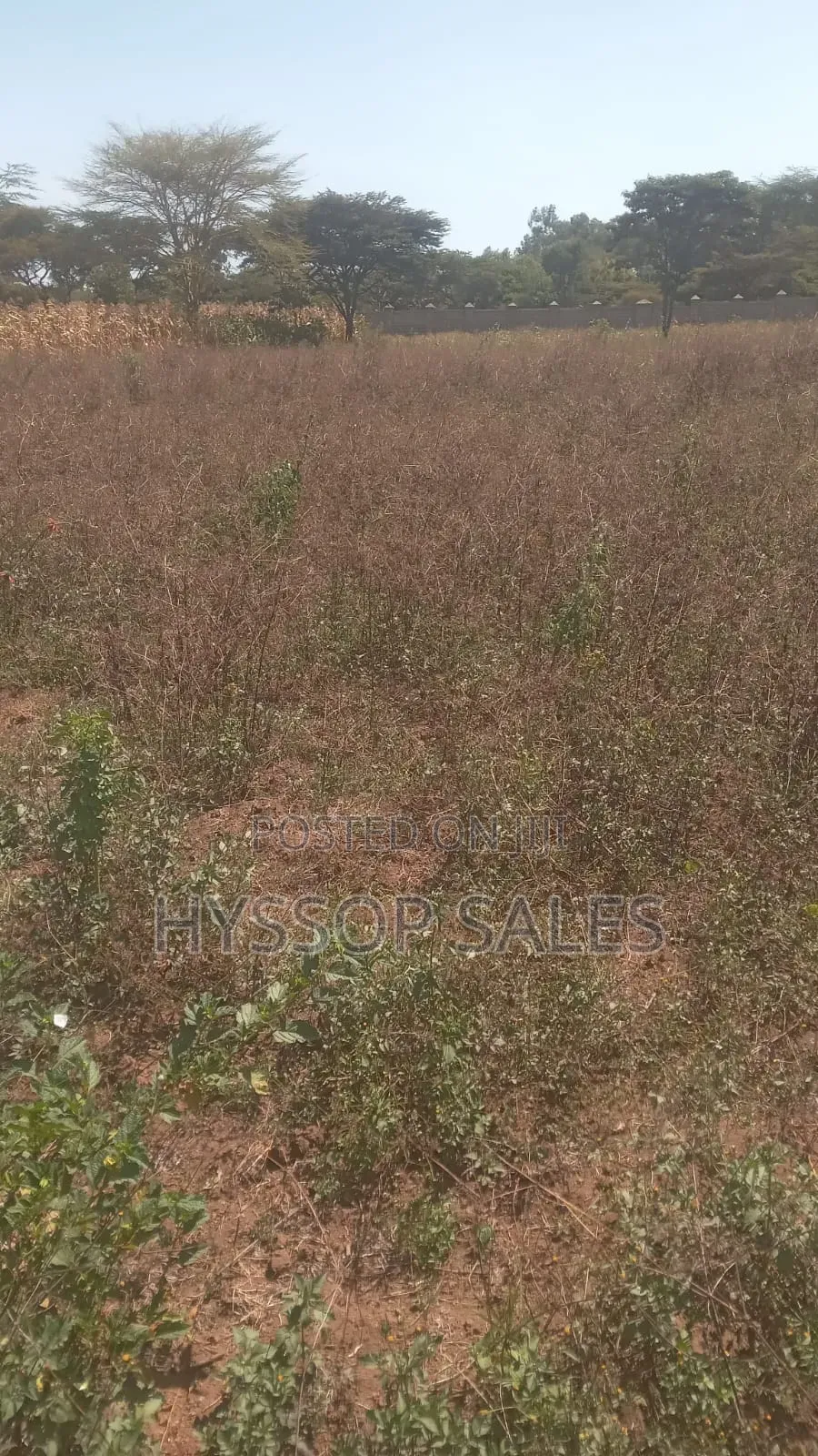 Prime Plots in Nakuru