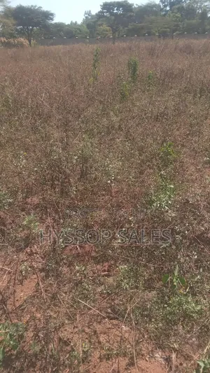 Prime Plots in Nakuru