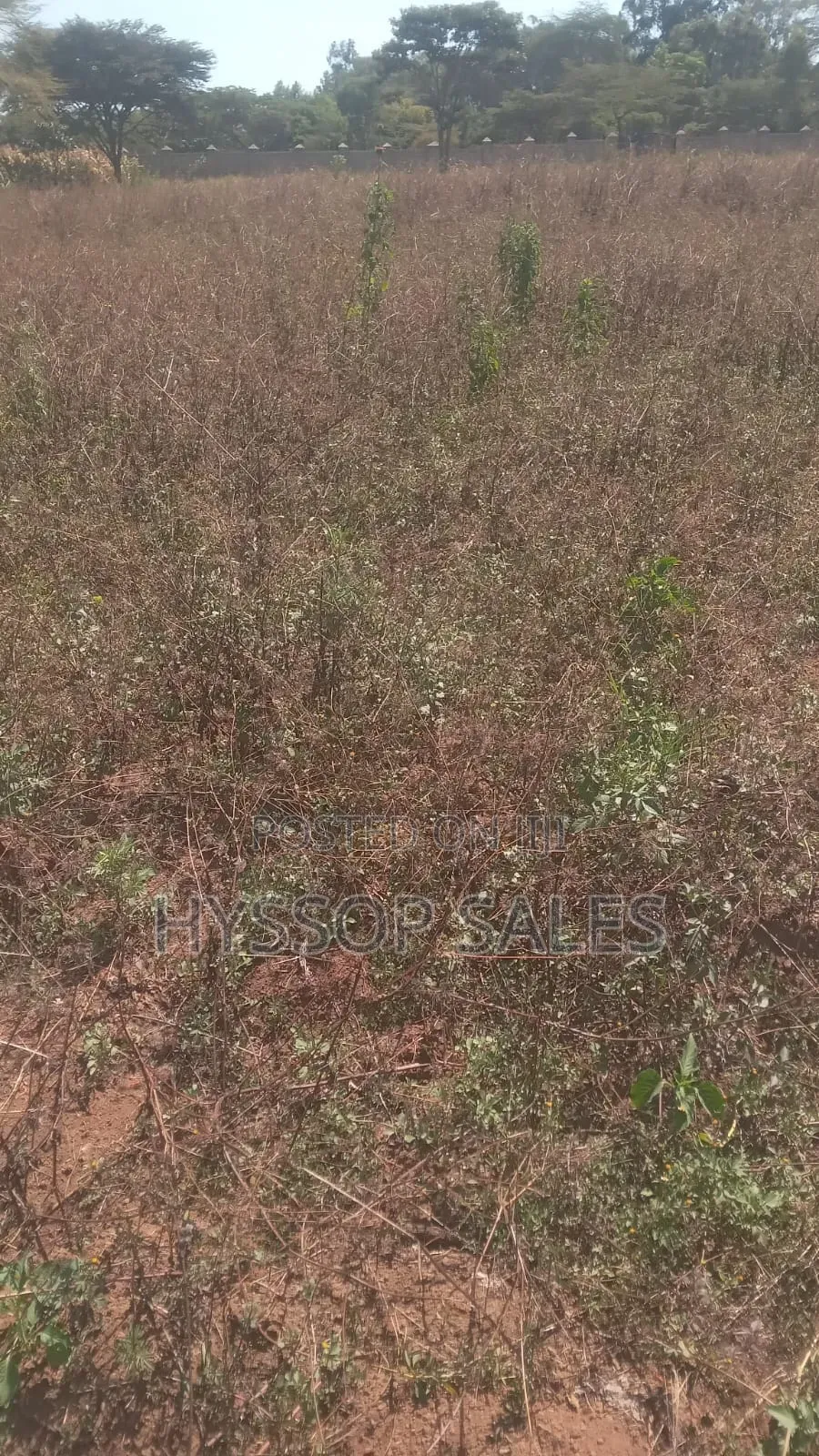 Prime Plots in Nakuru