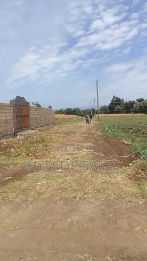 Prime Plots in Nakuru