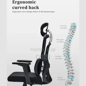 Office Chair; Ergonomic Computer Chair With Lumbar Support